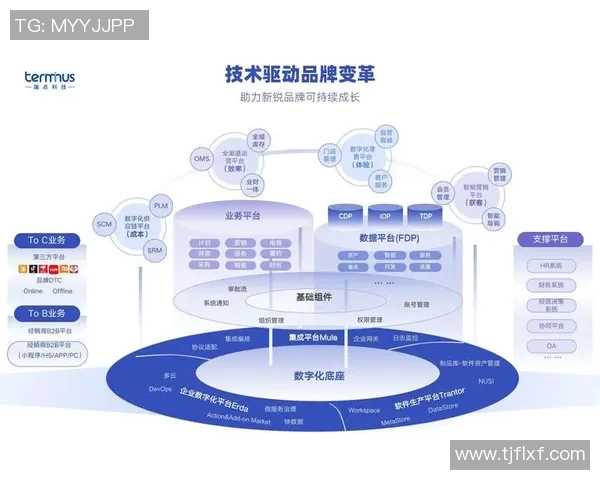 西安羽毛球队整体压制革新探索与发展路径分析